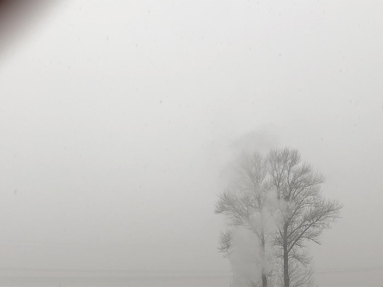 发一张家乡的冬天吧，以后再也不会有这种无忧无虑的时光了。下大雪的冬天跟家人坐在热