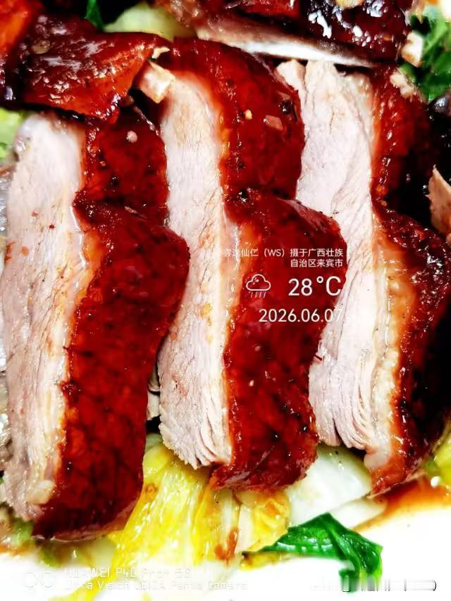 月居生活记录（9861）广西壮族自治区来宾市（86）品尝小吃38：烧鹅饭（15.