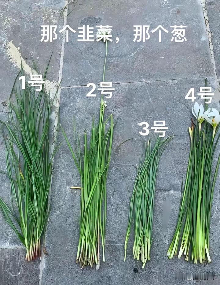 就算你经常做饭，你也猜不出来！