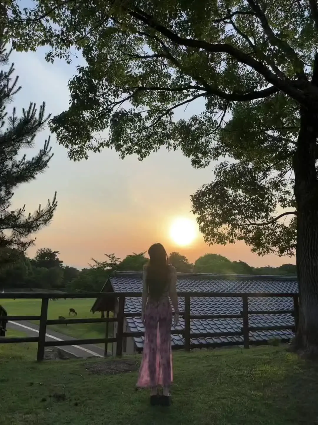 阳光沐浴的一天