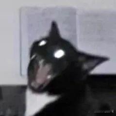 #一本书读懂遇见的意义#要不要如此厉害，完全是从这本书中感受到了非常治愈和励志的