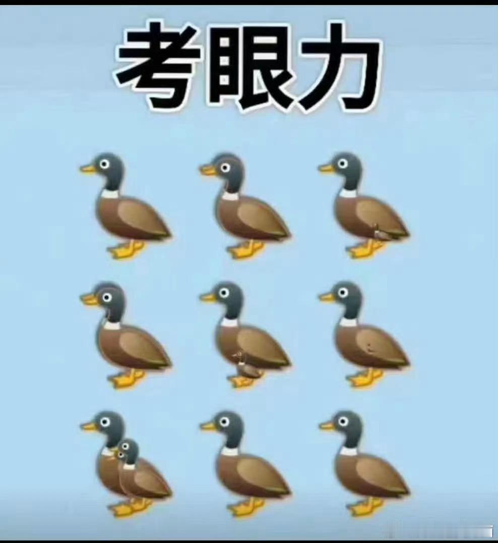 有几只鸭子🦆 考考你的眼里 