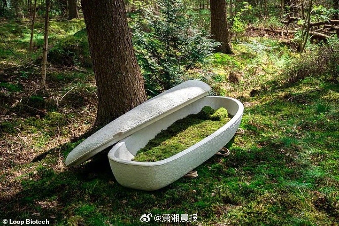 【#全球首个由蘑菇制成的活棺材面世#，#已售出2500副由蘑菇制成的活棺材#】在