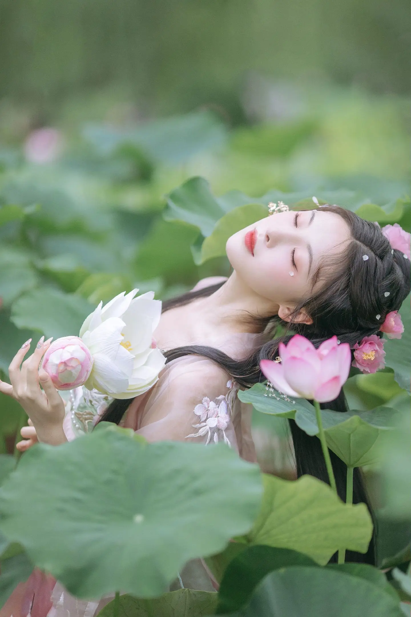 又到荷花季啦～