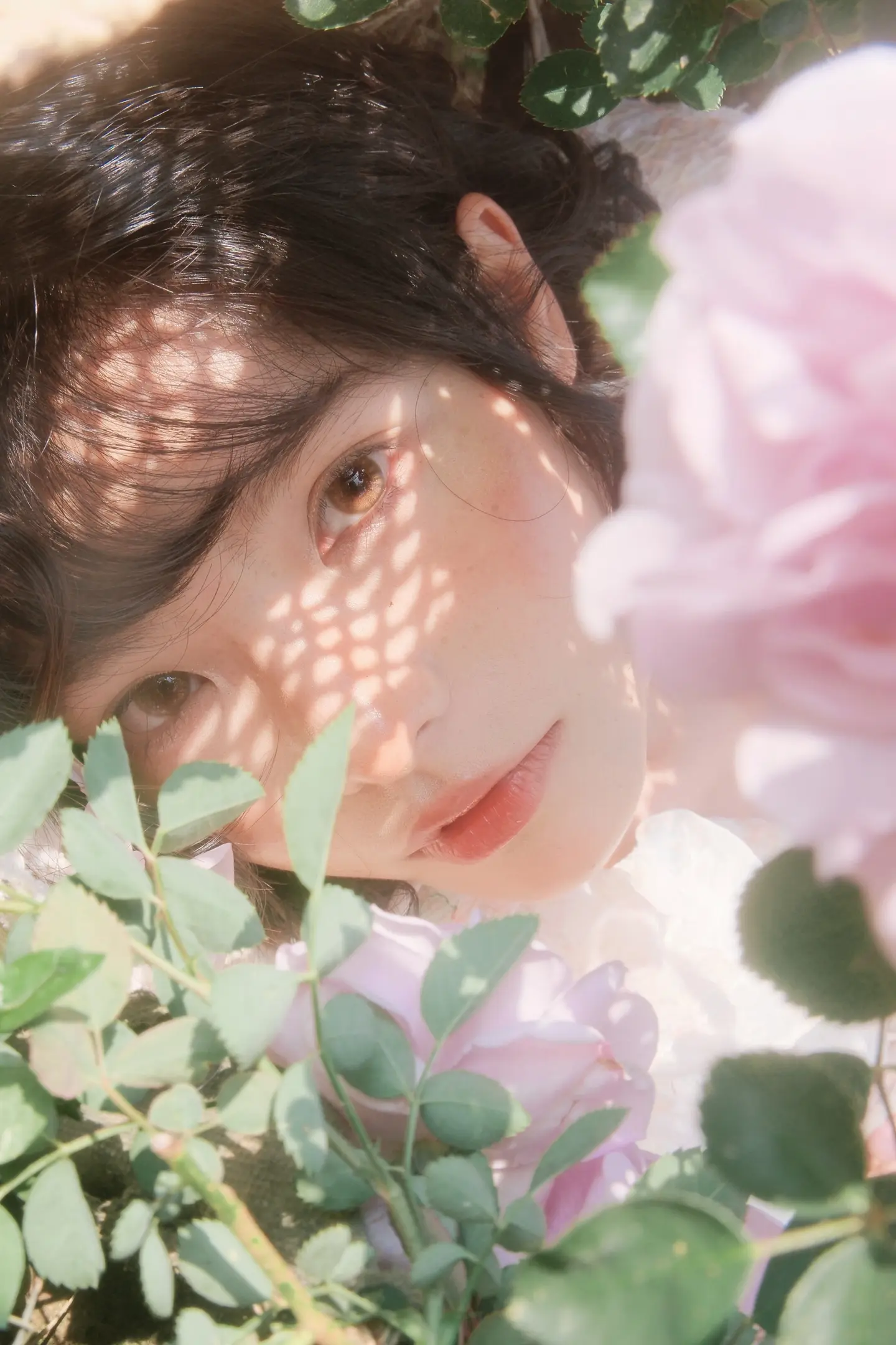 一朵玫瑰的瞬间𝒫𝓊𝓇𝓅𝓁ℯ.