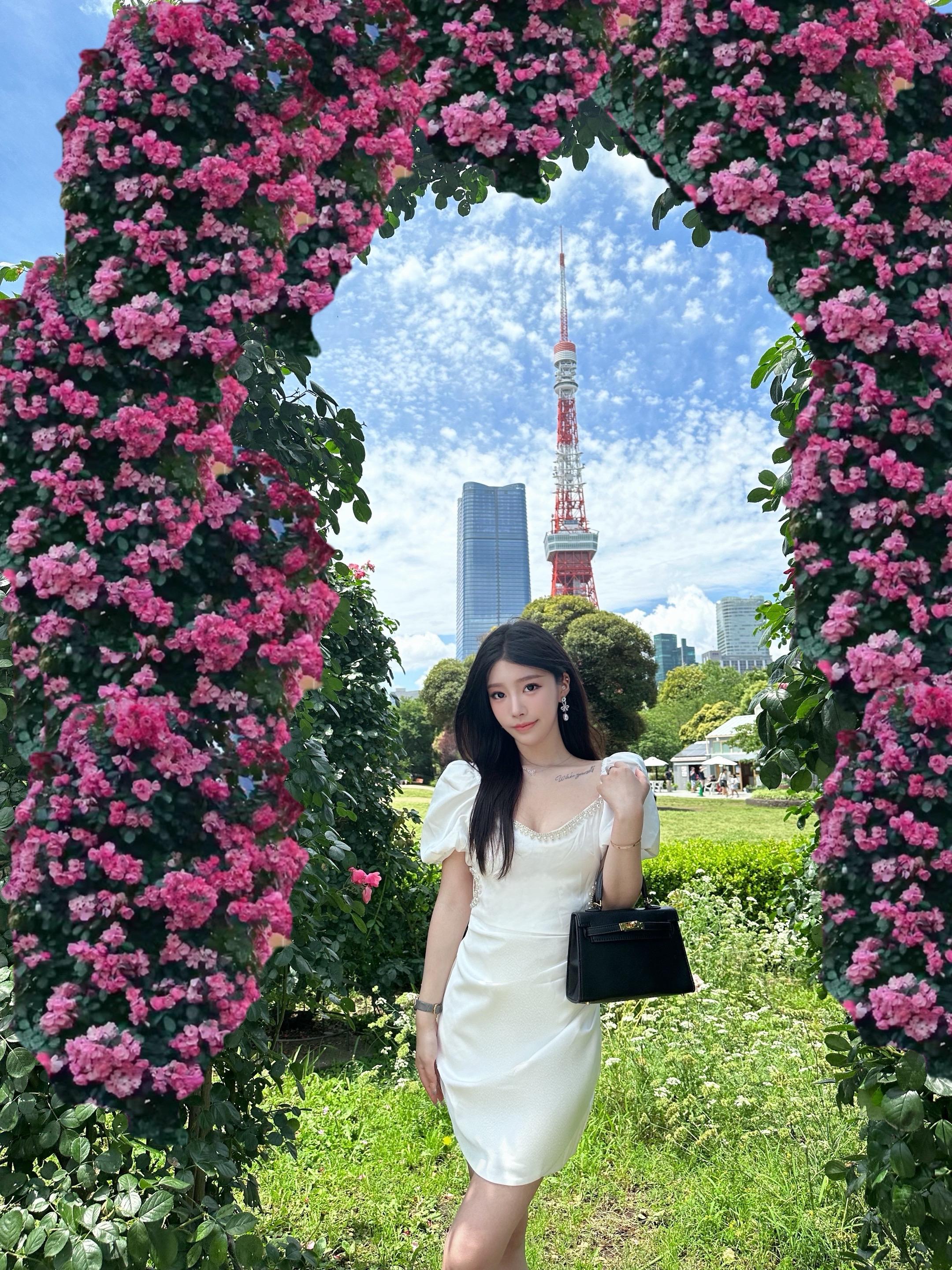 如果我的坚强任性 会不小心伤害了你