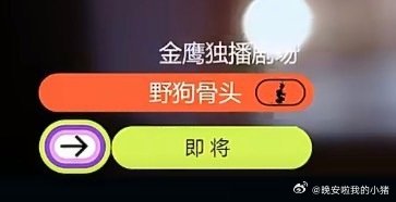 宋威龙张婧仪野狗骨头站内弹窗，即将上线