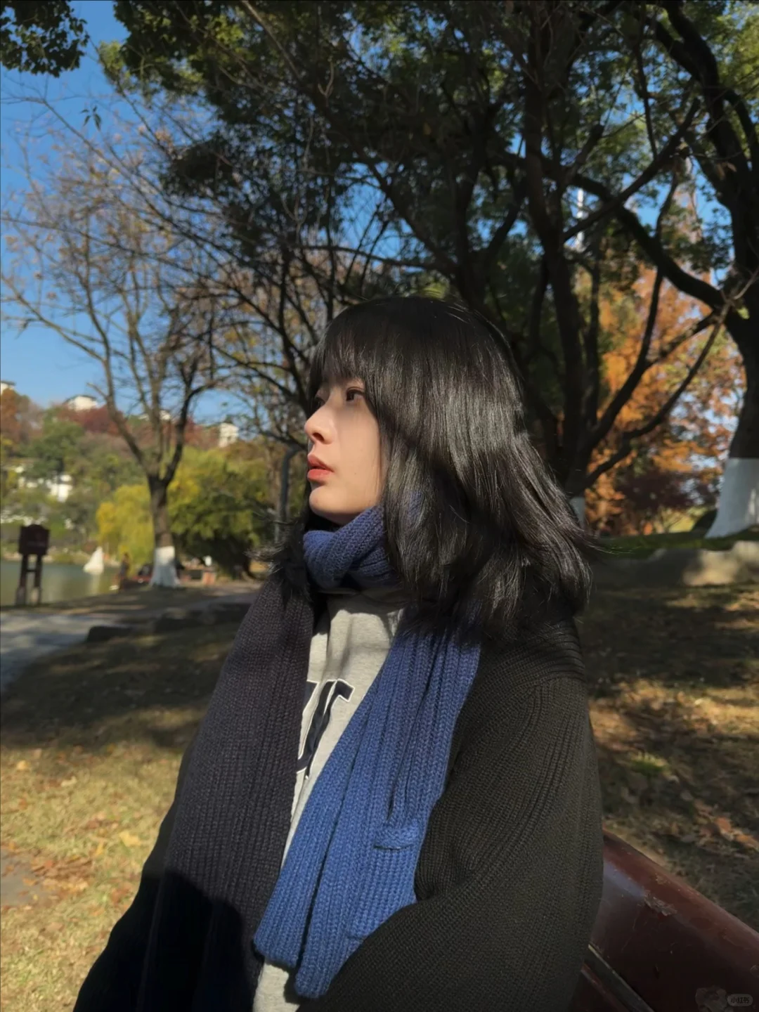 天气好，公园散步