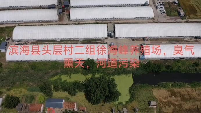 盐城市滨海县东坎街道头层村二组徐海丰养殖场消防不过关，涮棚水直接排放河道，造成河