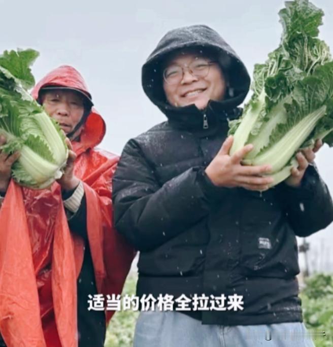 活该他当老板！山东一男子请假回老家收白菜，不料菜贩子直接将收购价压至1毛2一斤！