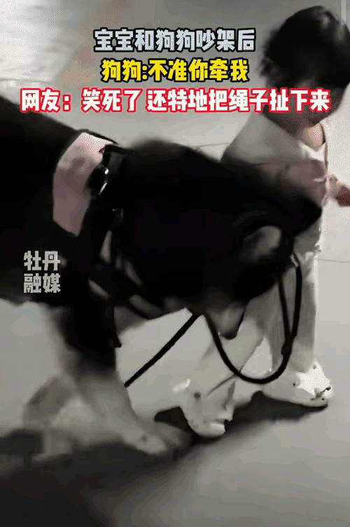 笑不活了！宝宝牵着大狗遛弯，狗嫌她太小一把扒掉绳子，宝宝弯腰去捡，狗一爪子按住：