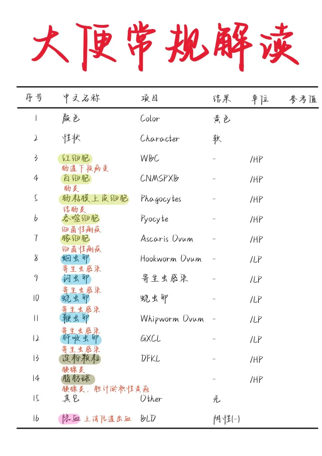 医学生笔记——大便常规解读