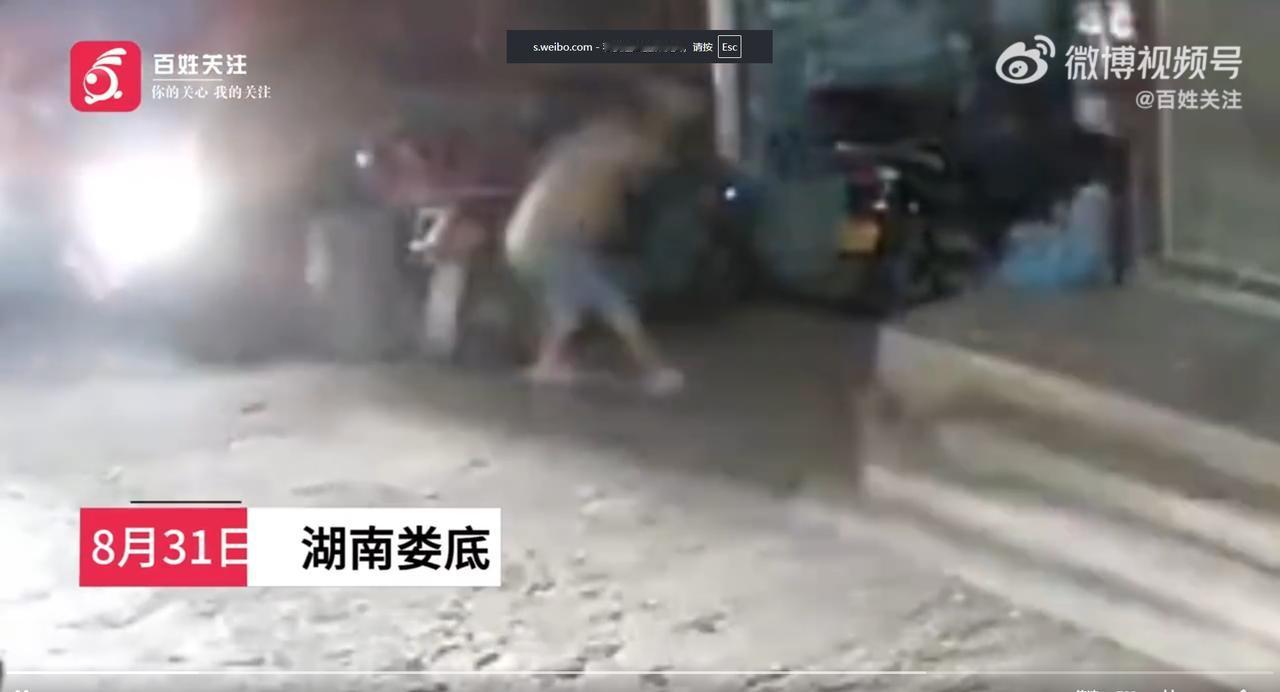 湖南娄底，一女孩与同伴走在路上，突遭一只流浪黄狗追咬。监控画面触目惊心：黄狗先咬