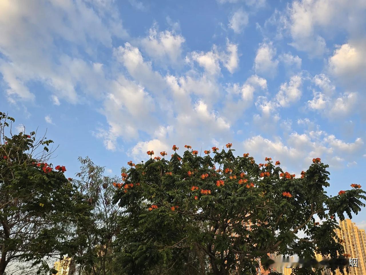 雨后天霁，晴空如洗。
万物明媚，花红绿肥。