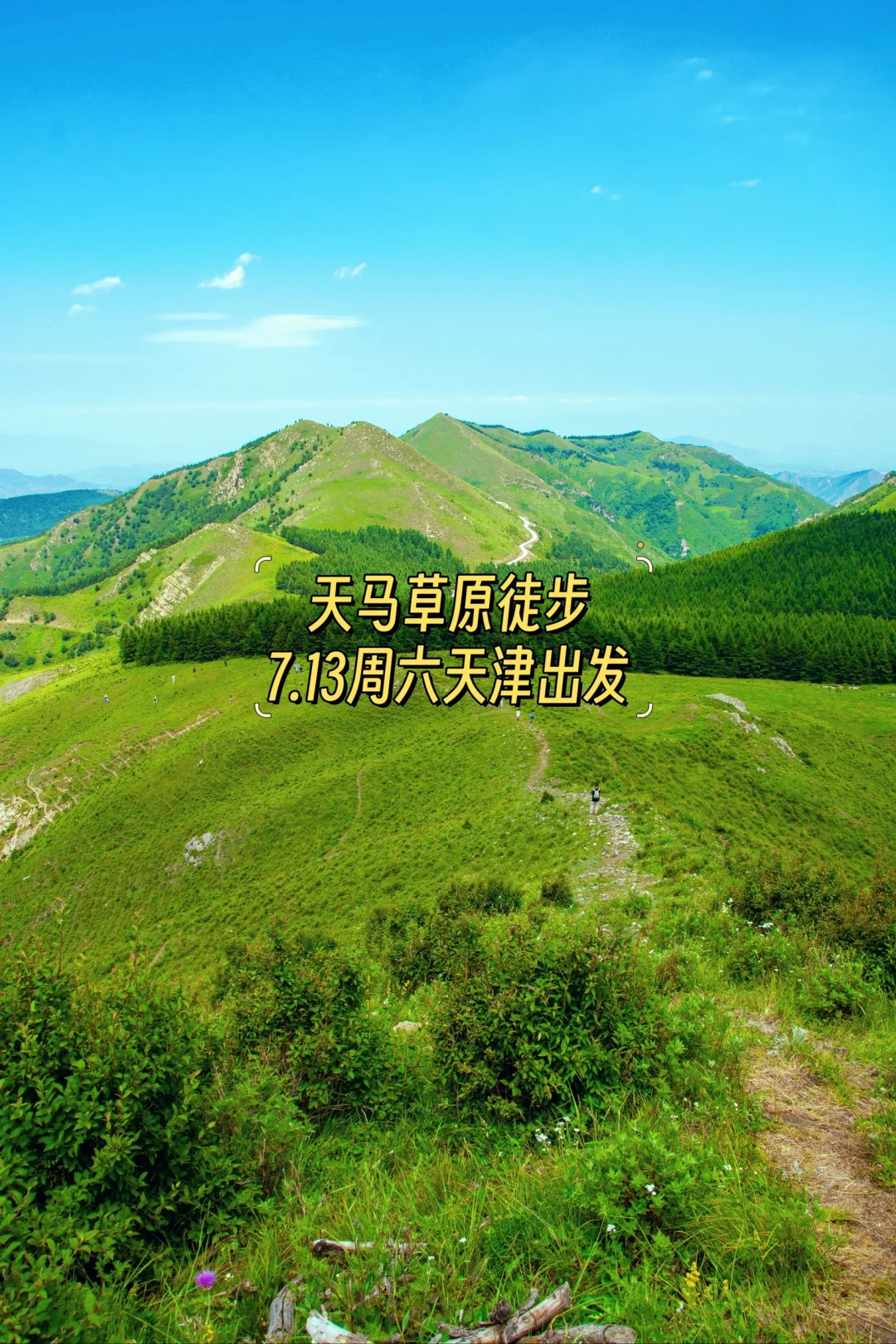 天津徒步｜get天马草原牛羊成群美景✔
