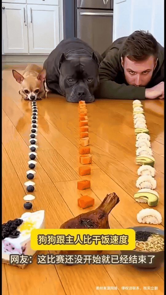 狗狗和主人比赛吃饭，看谁吃得快。
网友说：这比赛还没开始，就已经分出输赢了。狗吃