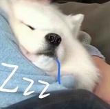 糖坊最爱美女