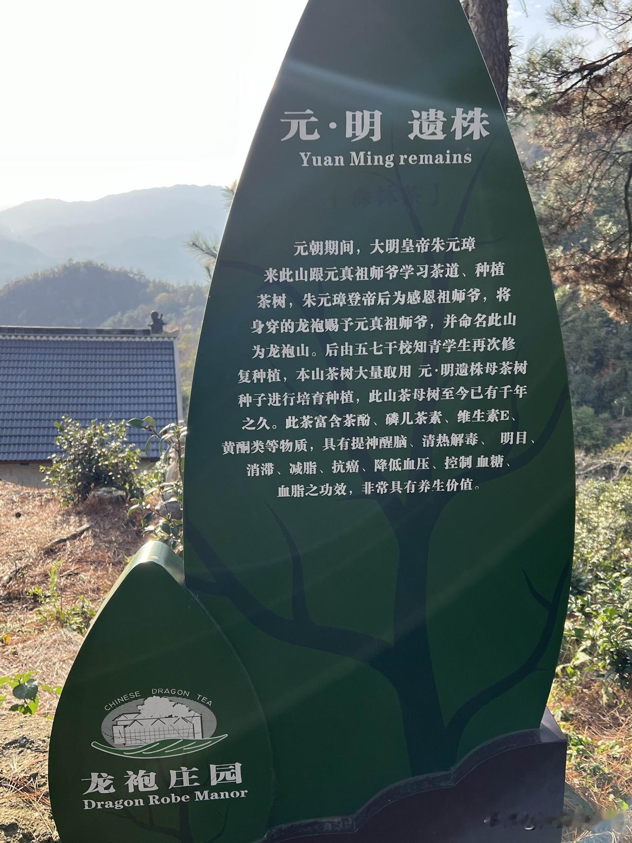我的宝藏兴趣这两个记忆值得珍藏！