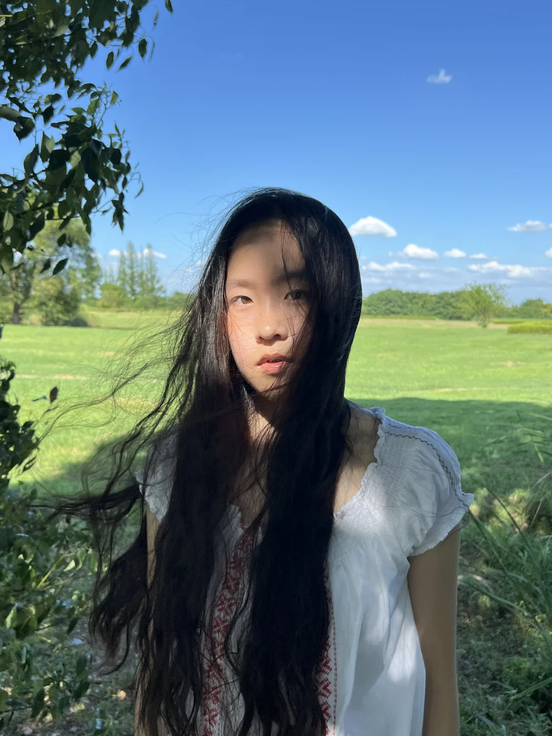 阳光穿透树叶，世界飞过夏天