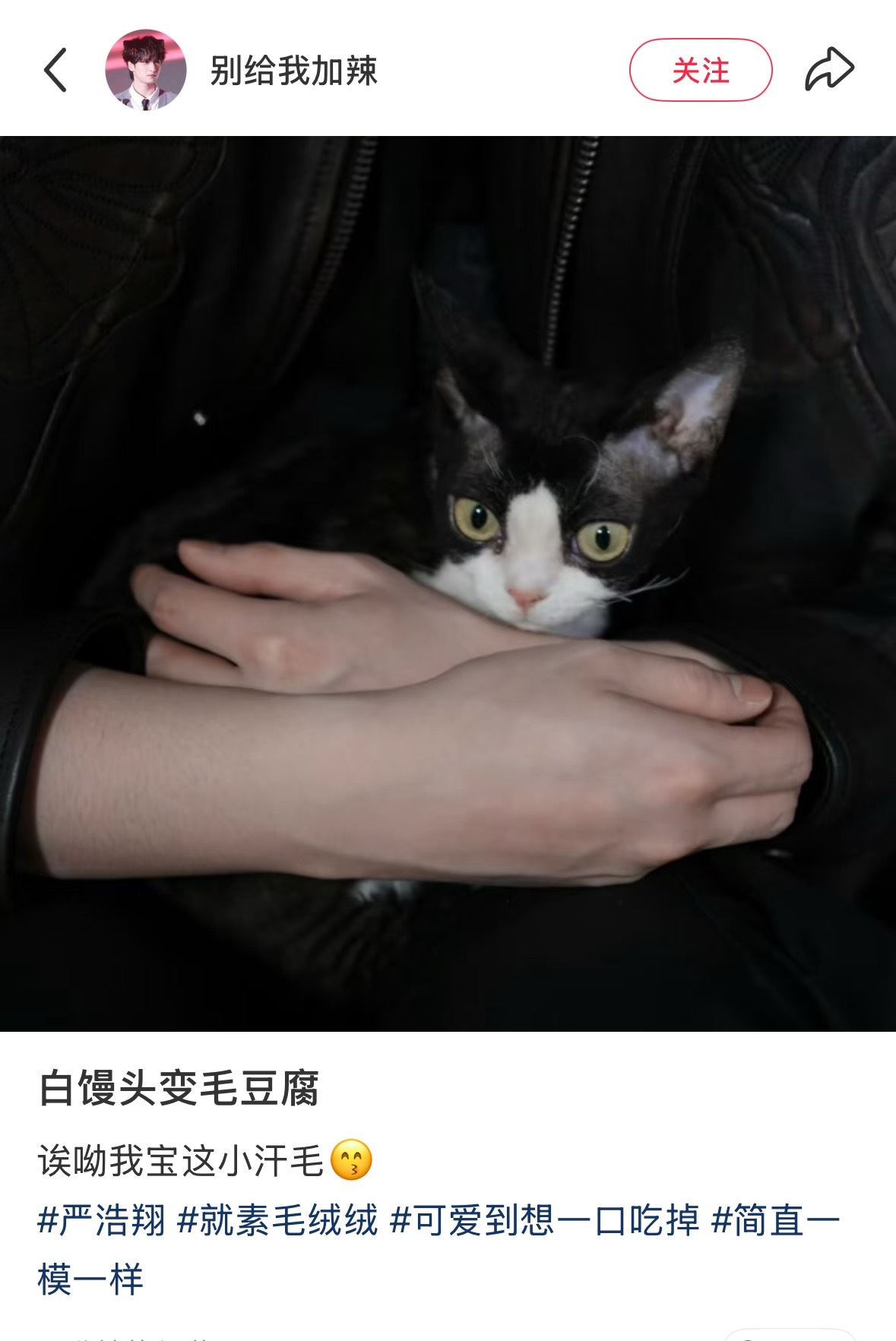 hhhhhhh俺不中了，虽然但是…想摸想揪他汗毛🫢 