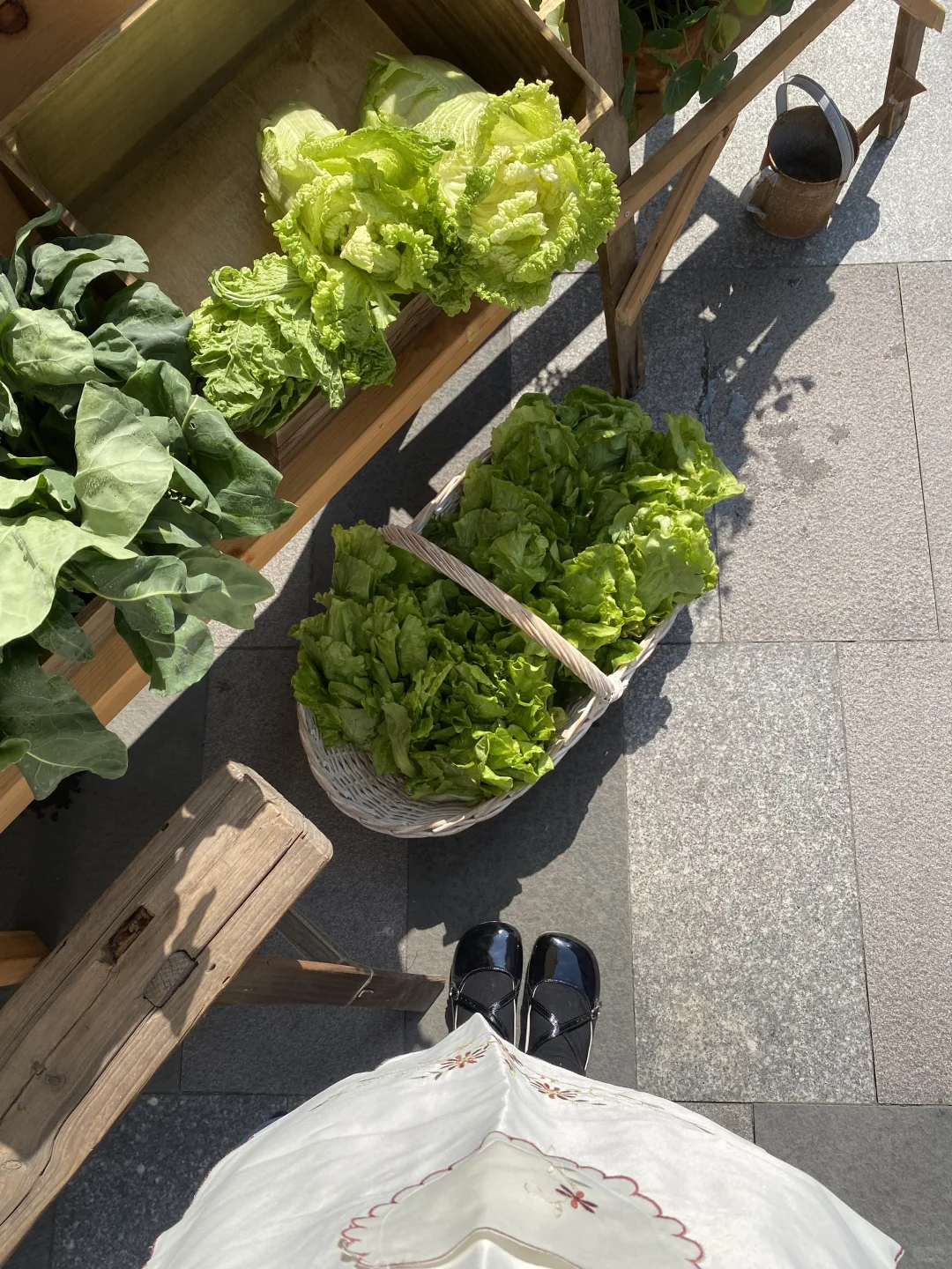 农场主摆摊日记👩🏻‍🌾