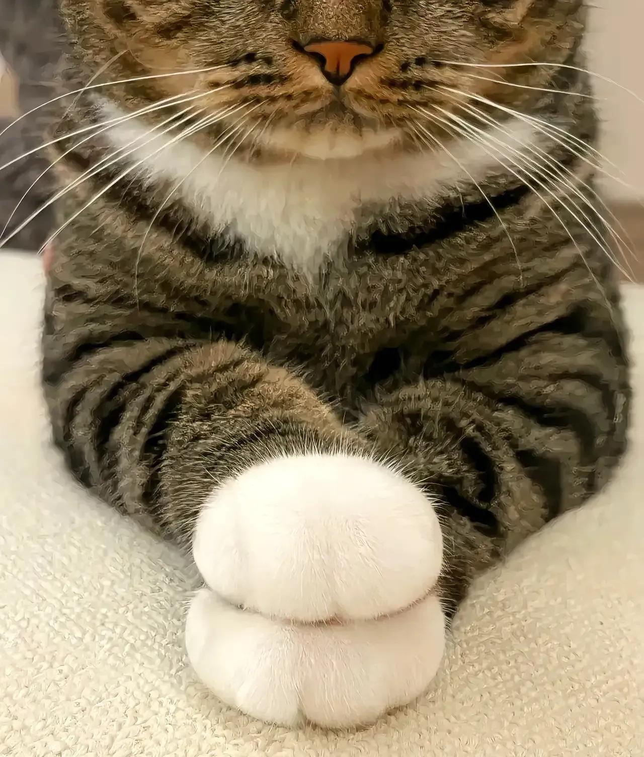 我们在公园邂逅，关系进展迅猛。截至今日，我们已同居一年。最初的甜蜜消散后，我逐渐