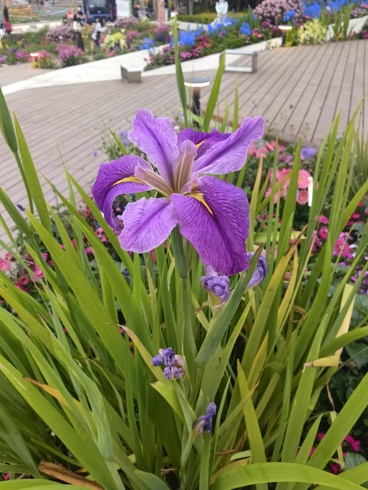 明天冲击4100点？
    今天（4月20日）A股走出强势震荡行情，上证指数收