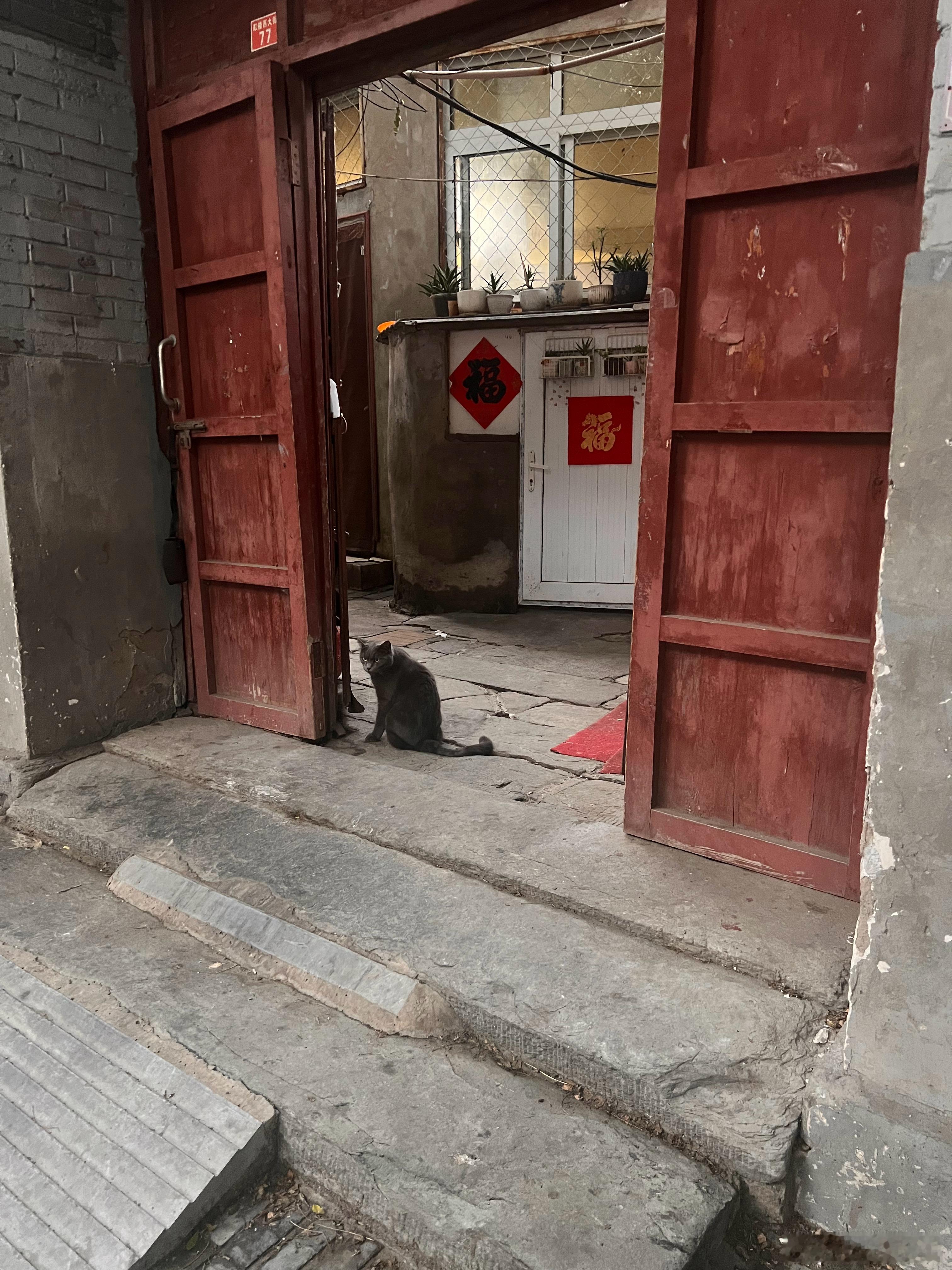 猫 北京·德胜门