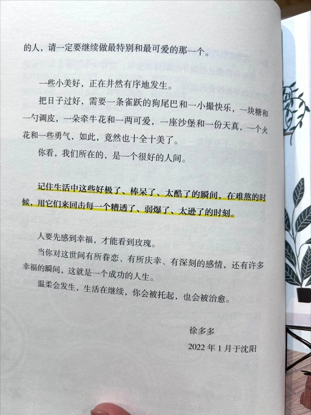 被狠狠治愈了️生活就是在一堆玻璃渣里找糖 ​​​