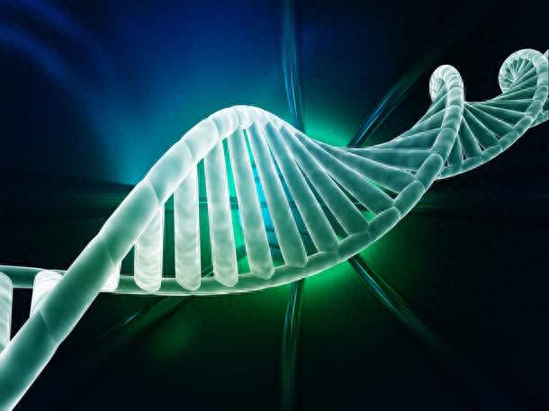 我们现在的科学家是怎么研究古人类DNA的