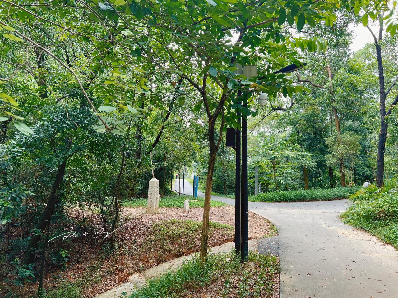 广州5A级景区内有一块“广州市界碑”，已近百年历史，却游客罕至？

前段时间，我