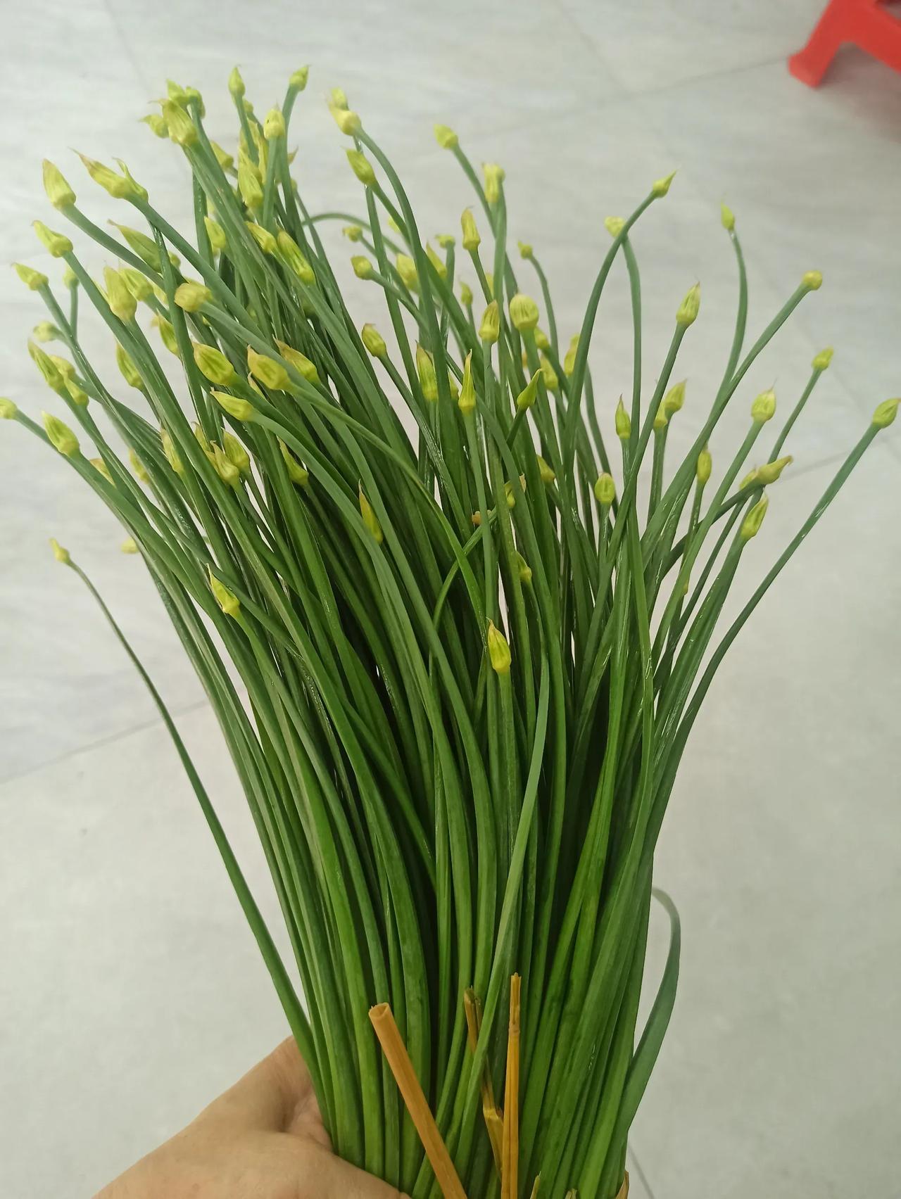 不懂就问：韭花菜上面的花花能吃吗？

每次买韭菜花，都会把上面的花骨朵摘了扔掉，