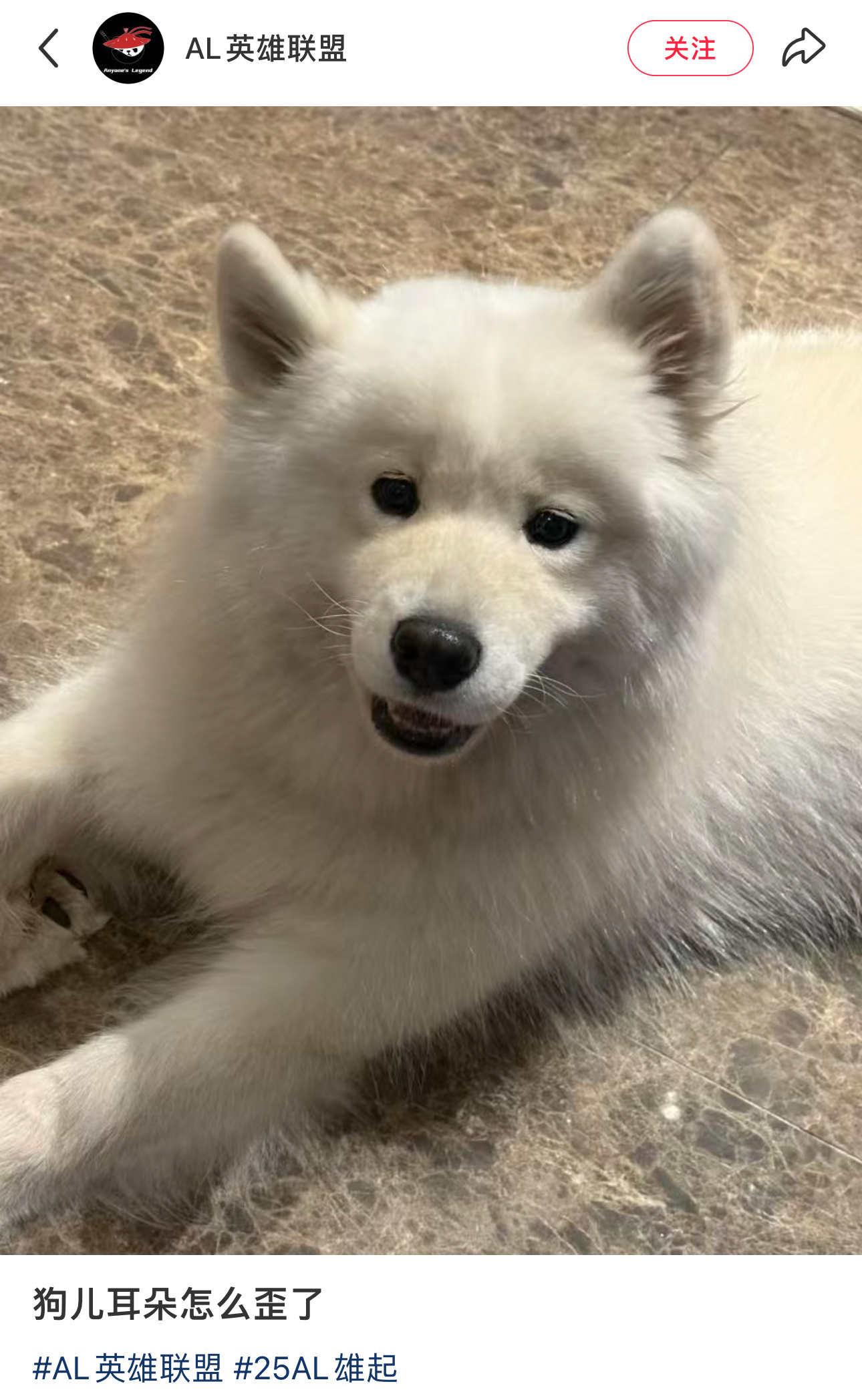 巴莉巴莉我们喜欢你🥺s15第一线s15总决赛英雄联盟 ​​​