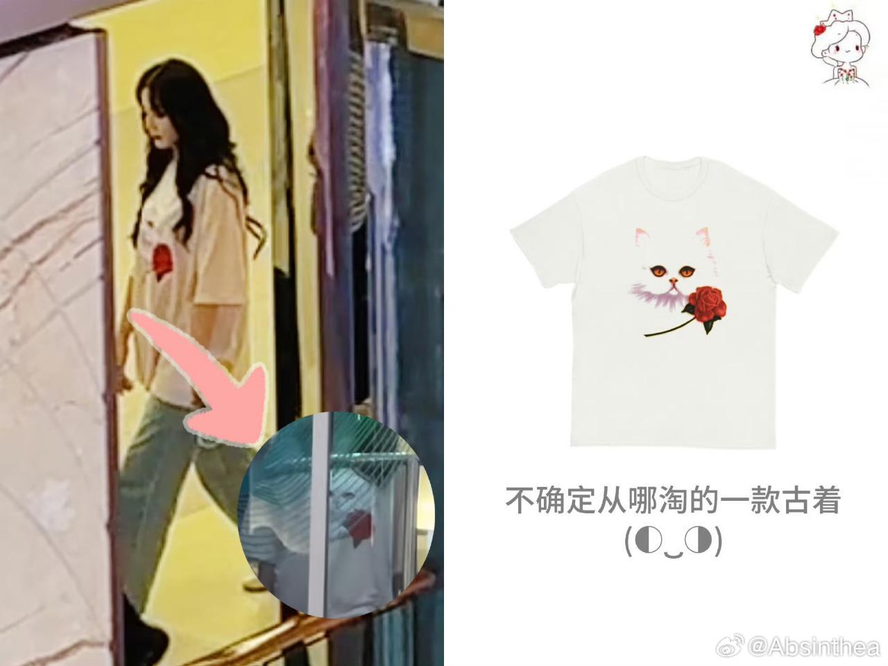 你猜为什么是猫猫和玫瑰花洋迪