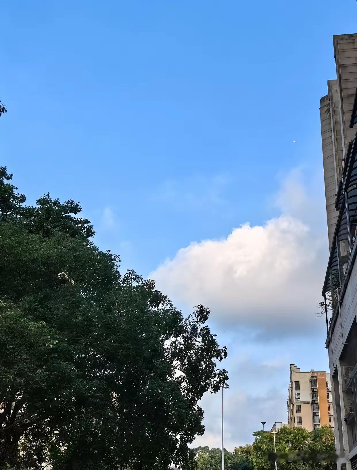 你发现了吗？老天爷才是最公平的，不信你往下看：

公平这词儿，打根上就被人理解歪
