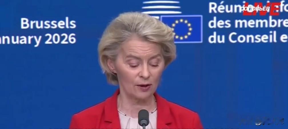 【冯德莱恩详解欧盟北极安全合作计划】

冯德莱恩称，欧盟拟联动挪威、冰岛、加拿大