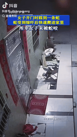 广东，一女子开门外出，一脚踩到一条蛇，吓得失声尖叫，不料蛇受到惊吓，快速窜进家里