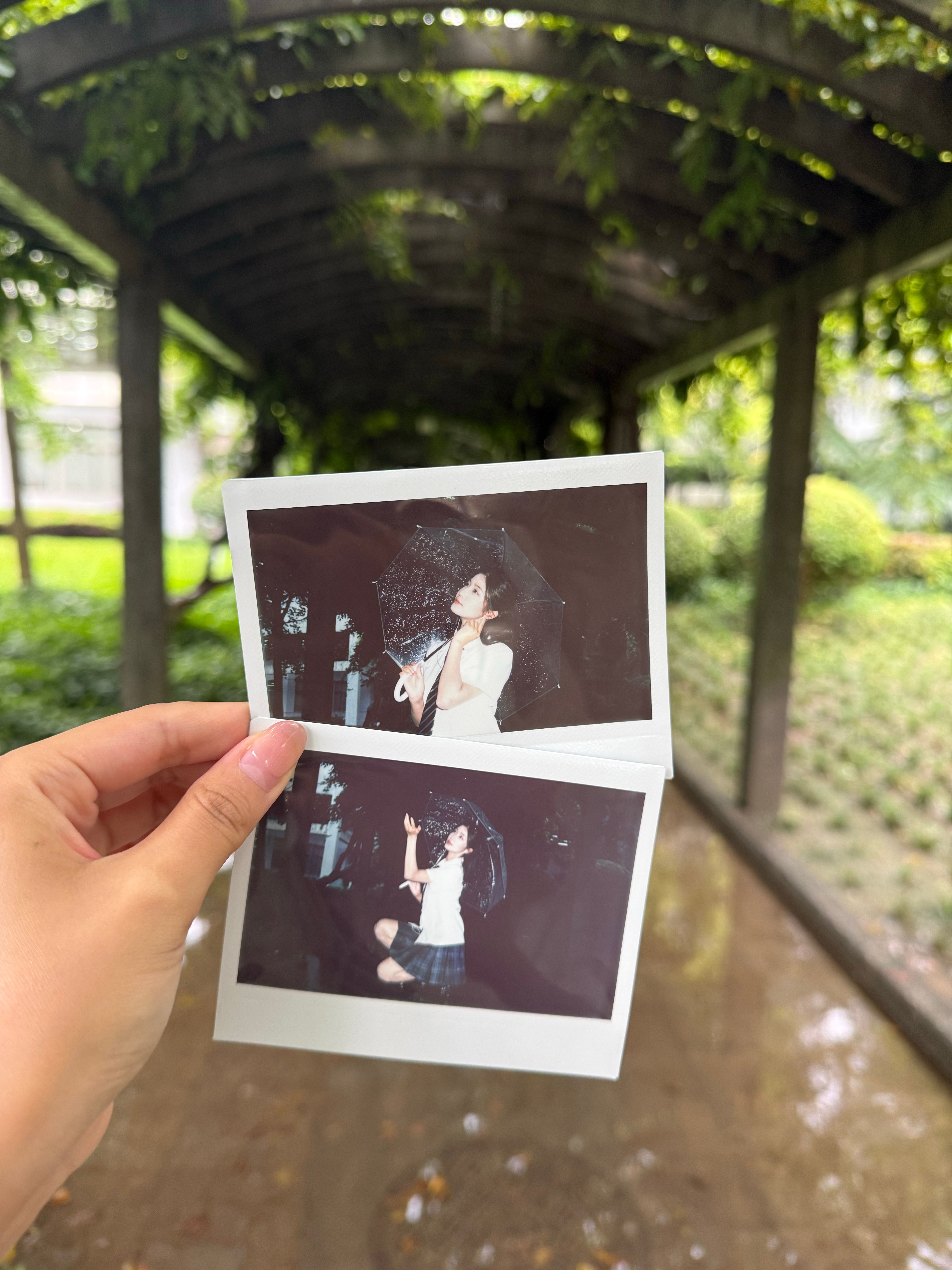 假装自己是06女大混入学校 