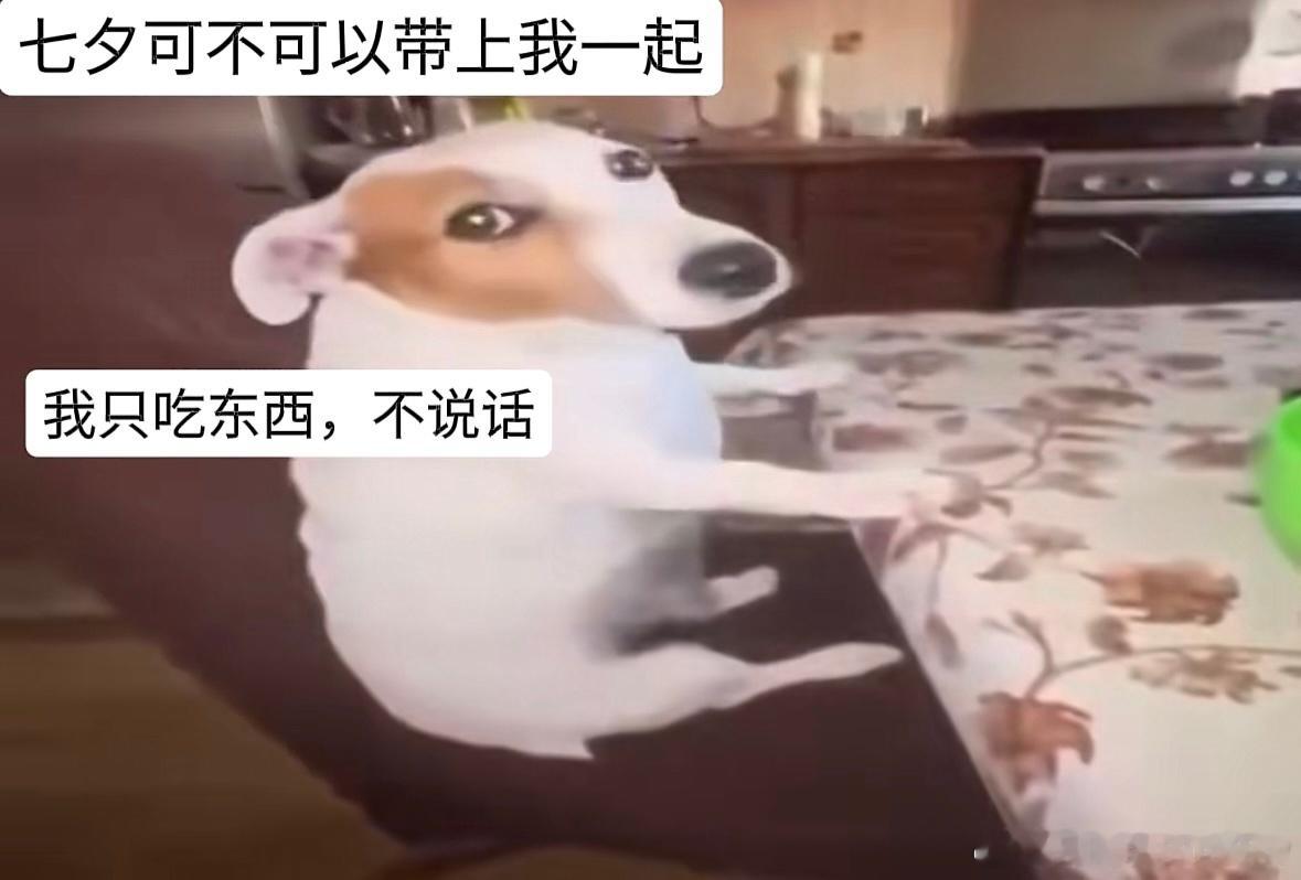 分享图片 