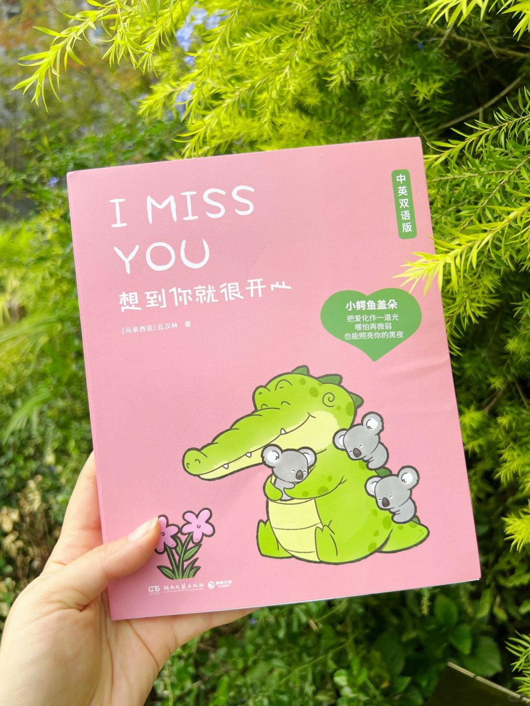 治愈解压小书📚我真的太太太爱啦💕