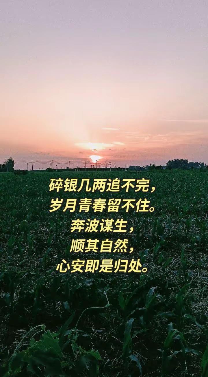 碎银几两追不完，岁月青春留不住。一边耕耘田地，一边奔赴前路，凡事看淡，内心自安。