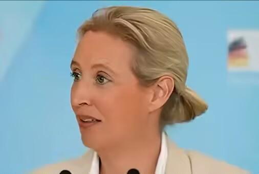 德国选择党领袖魏德尔批评德国总理默茨，她觉得默茨导致德国未来每年利息支出将飙升至