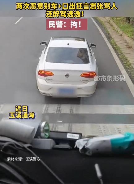 男子两次恶意别车还醉驾逃逸拘10日，我认为，对于这种在公路上恶意别车的行为，严重
