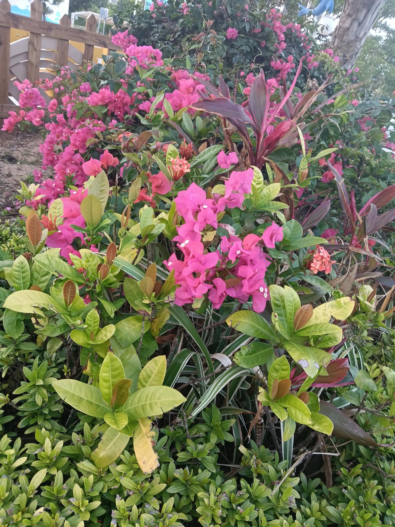 春日生活打卡季 春日生活，简直是一场超棒的治愈之旅！春天就是新的开始，能让人告别