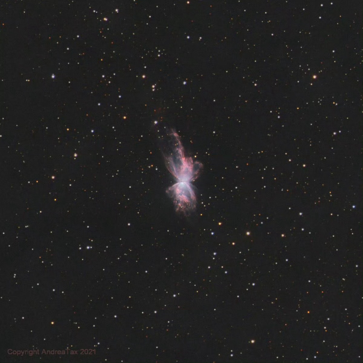 NGC 6302#每天一天文图# ​​​