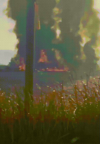 韩国飞机坠毁人员全部死亡，只有2人幸存。马上2025了，这也太惨了！
从空中撞鸟