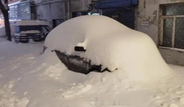 “我的车呢？！”鹤岗暴雪后，车主老王瞪大了眼睛。11月26日开始，这场特大暴雪，