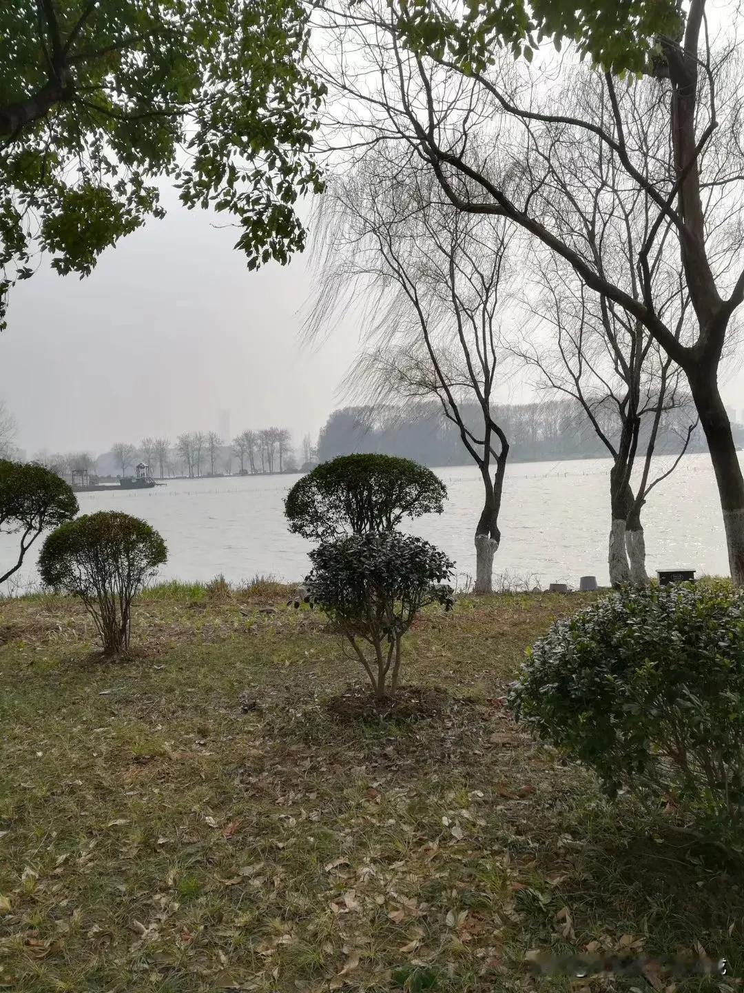 晒图笔记大赛风雨前夕