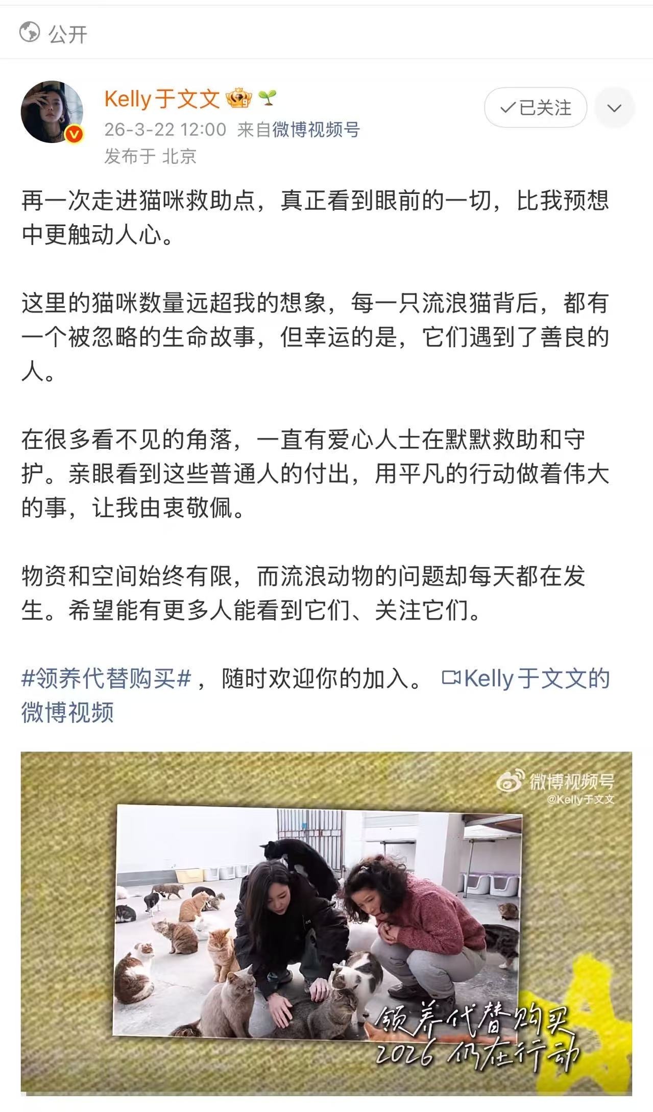 于文文呼吁领养代替购买 探访猫咪救助站，镜头记录下那些被温柔以待的生命。每一个微