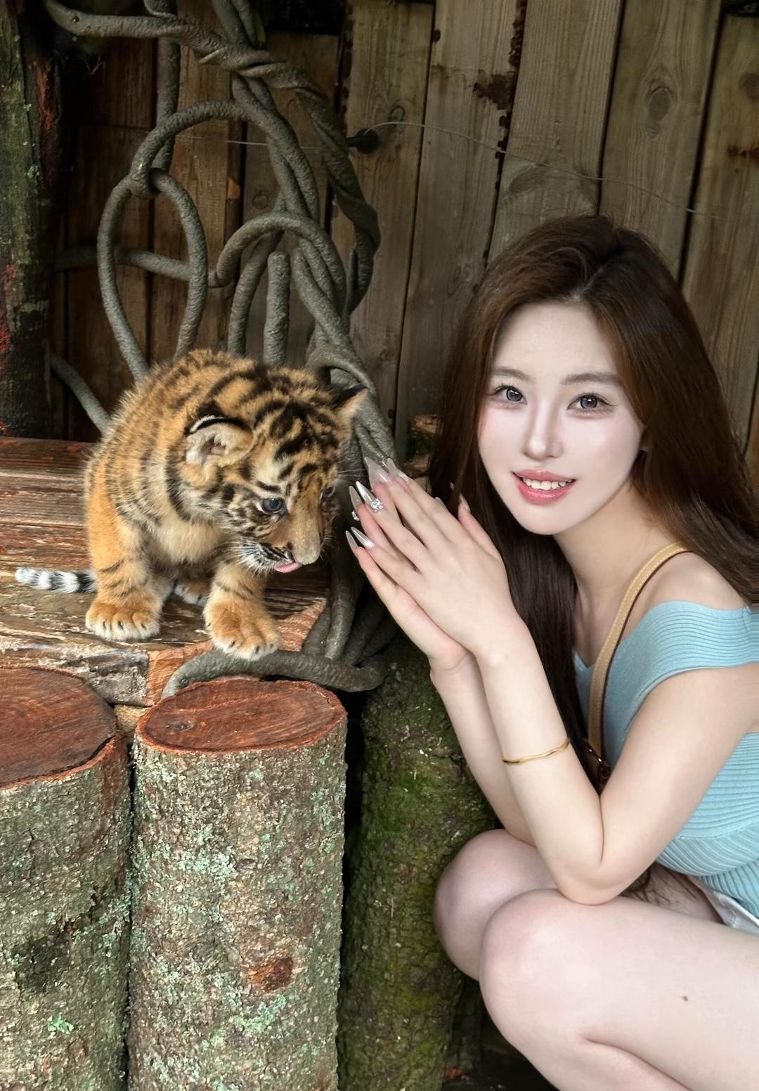 萌虎与少女亲密互动，温馨可爱瞬间！🐯💕